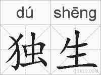 独生的拼音