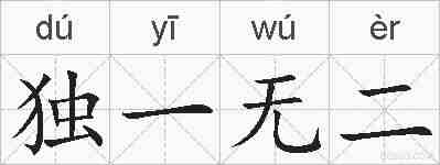 独一无二的拼音