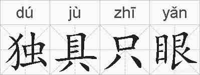 独具只眼的拼音