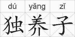 独养子的拼音