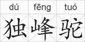 独峰驼的拼音