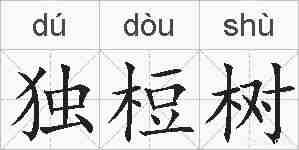 独梪树的拼音