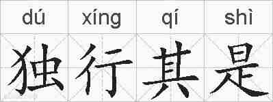 独行其是的拼音
