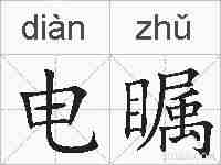 电瞩的拼音