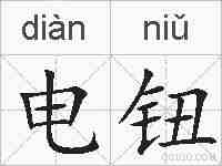 电钮的拼音