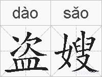 盗嫂的拼音