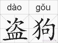 盗狗的拼音