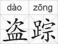 盗踪的拼音
