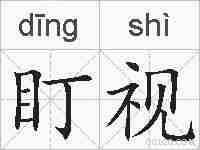 盯视的拼音