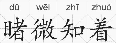 睹微知着的拼音