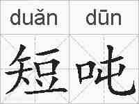 短吨的拼音