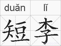 短李的拼音