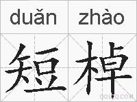 短棹的拼音