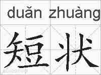 短状的拼音