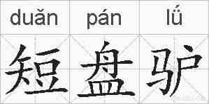 短盘驴的拼音