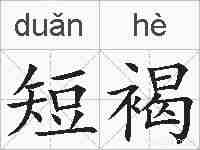 短褐的拼音