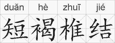 短褐椎结的拼音