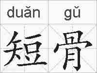 短骨的拼音