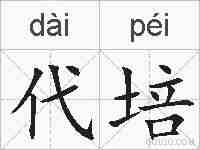 代培的拼音
