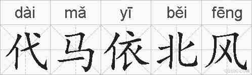 代马依北风的拼音