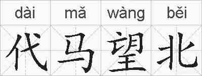 代马望北的拼音