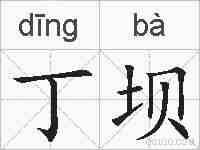 丁坝的拼音