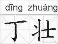丁壮的拼音