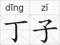 丁子的拼音
