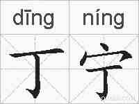 丁宁的拼音