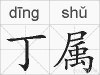 丁属的拼音