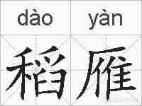 稻雁的拼音
