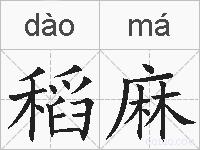 稻麻的拼音