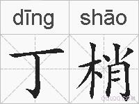 丁梢的拼音