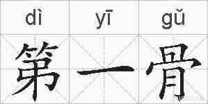 第一骨的拼音