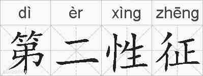 第二性征的拼音