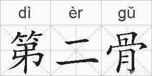 第二骨的拼音