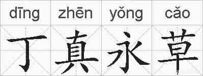 丁真永草的拼音