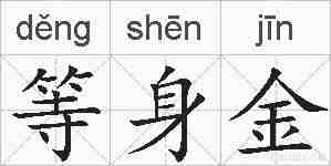 等身金的拼音