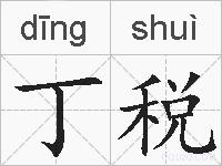丁税的拼音