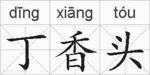 丁香头的拼音