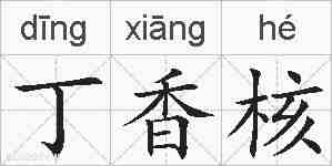 丁香核的拼音