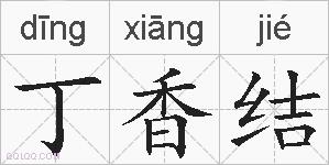 丁香结的拼音