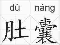 肚囊的拼音