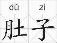 肚子的拼音