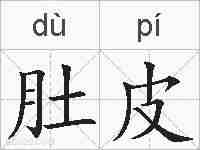 肚皮的拼音
