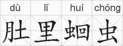 肚里蛔虫的拼音