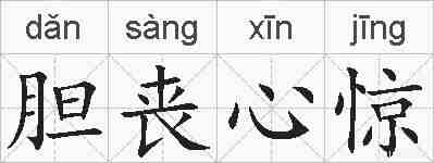 胆丧心惊的拼音