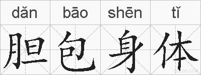 胆包身体的拼音