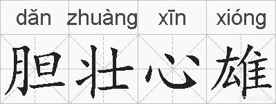 胆壮心雄的拼音