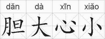 胆大心小的拼音